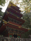 Pagoda at Toshogu Shrine  Nikko  Tochigi Prefecture  Japan