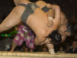 Sumo Wrestlers Competing  Grand Taikai Sumo Wrestling Tournament  Kokugikan Hall Stadium  Tokyo