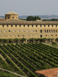 Vineyard and Monastery  Olite  Navarra  Euskadi  Spain