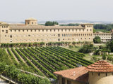 Vineyard and Monastery  Olite  Navarra  Euskadi  Spain