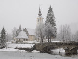 Ducks on Frozen Lake  Lake Bohinj  Slovenia