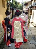 Geisha  Maiko (Trainee Geisha) in Gion  Kyoto City  Honshu  Japan