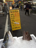 Fish Restaurant  Shinjuku  Tokyo  Honshu  Japan