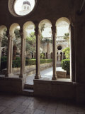 Dubrovnik  Dalmatia  Croatia