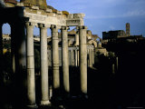 The Forum  Rome  Lazio  Italy