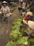 Hoi an Market  Hoi An  Vietnam  Southeast Asia