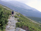 Hikers Walking Along Tatranska Magistrala Trail in Vysoke Tatry Mountains  Vysoke Tatry  Slovakia