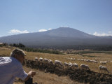 Shepherd  Mount Etna  Sicily  Italy