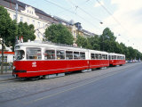 Tram  Leopoldstadt  Vienna  Austria