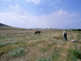 Limnos (Lemnos)  Aegean Islands  Greek Islands  Greece