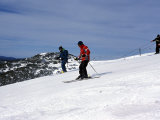 Skiers Skiing on Slope at Mount Hotham  High Country  Victoria  Australia