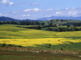 Wide Open Rolling Landscape  High Country  Australia