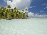 Blue Lagoon  Rangiroa  Tuamotu Archipelago  French Polynesia Islands