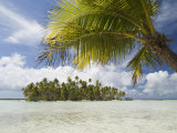 Blue Lagoon  Rangiroa  Tuamotu Archipelago  French Polynesia Islands