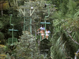 Aerial Tramway on Forest Canopy  Soberania Forest National Park  Gamboa  Panama  Central America
