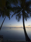 Rangiroa  Tuamotu Archipelago  French Polynesia Islands