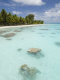 Fakarawa  Tuamotu Archipelago  French Polynesia Islands