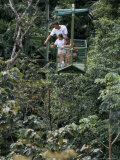 Aerial Tramway on Forest Canopy  Soberania Forest National Park  Gamboa  Panama  Central America