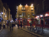 The Temple Bar Pub  Temple Bar  Dublin  County Dublin  Republic of Ireland (Eire)