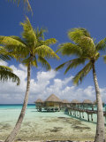 Pearl Beach Resort  Tikehau  Tuamotu Archipelago  French Polynesia Islands