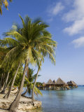 Kia Ora Resort  Rangiroa  Tuamotu Archipelago  French Polynesia Islands