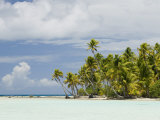 Blue Lagoon  Rangiroa  Tuamotu Archipelago  French Polynesia Islands