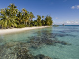 Fakarawa  Tuamotu Archipelago  French Polynesia Islands