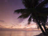 Rangiroa  Tuamotu Archipelago  French Polynesia Islands