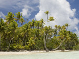 Blue Lagoon  Rangiroa  Tuamotu Archipelago  French Polynesia Islands