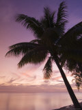 Rangiroa  Tuamotu Archipelago  French Polynesia Islands