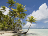 Blue Lagoon  Rangiroa  Tuamotu Archipelago  French Polynesia Islands