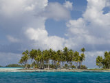 Blue Lagoon  Rangiroa  Tuamotu Archipelago  French Polynesia Islands