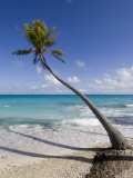 Fakarawa  Tuamotu Archipelago  French Polynesia Islands