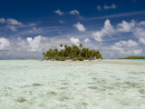 Sharks  Blue Lagoon  Rangiroa  Tuamotu Archipelago  French Polynesia Islands