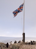 British Base  Port Lockroy  Antarctic Peninsula  Antarctica  Polar Regions