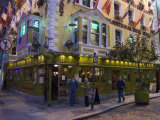 The Oliver St John Gogarty Pub  Temple Bar  Dublin  County Dublin  Republic of Ireland (Eire)