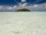Sharks  Blue Lagoon  Rangiroa  Tuamotu Archipelago  French Polynesia Islands