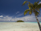 Blue Lagoon  Rangiroa  Tuamotu Archipelago  French Polynesia Islands