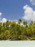 Blue Lagoon  Rangiroa  Tuamotu Archipelago  French Polynesia Islands