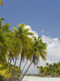 Blue Lagoon  Rangiroa  Tuamotu Archipelago  French Polynesia Islands