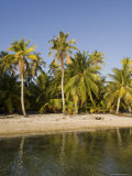 Tikehau  Tuamotu Archipelago  French Polynesia Islands
