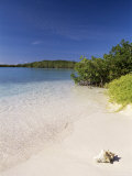 Lanqui  Los Roques  Venezuela  South America