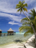 Kia Ora Resort  Rangiroa  Tuamotu Archipelago  French Polynesia Islands