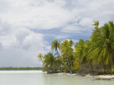 Blue Lagoon  Rangiroa  Tuamotu Archipelago  French Polynesia Islands