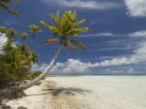 Blue Lagoon  Rangiroa  Tuamotu Archipelago  French Polynesia Islands