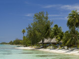 Kia Ora Resort  Rangiroa  Tuamotu Archipelago  French Polynesia Islands