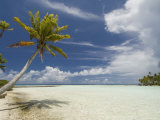 Blue Lagoon  Rangiroa  Tuamotu Archipelago  French Polynesia Islands