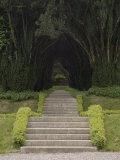 Woodstock Gardens and Arboretum  Inistioge  County Kilkenny  Leinster  Republic of Ireland (Eire)