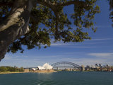 Opera House and Harbour Bridge  Sydney  New South Wales  Australia