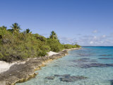 Fakarawa  Tuamotu Archipelago  French Polynesia Islands